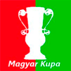 Copa Hungría 2014