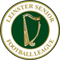 Copa Leinster Irlanda