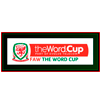 Copa de la Liga Gales 2012