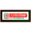Copa de la Liga Gales 2016