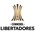 Copa Libertadores