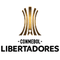 Tour préliminaire Copa Libertadores