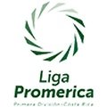 Primera Costa Rica - Clausura