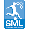 Liga Eslovenia Sub 19 2024