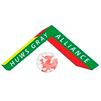 Segunda Gales Cymru Alli.