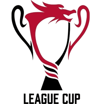 Copa de la Liga Hong Kong