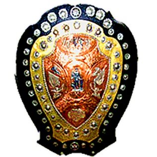 IFA Shield