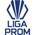 Liga de Ascenso Panamá C.