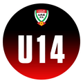 Liga Emiratos U14 B