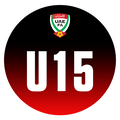 Liga Emiratos Sub 15 B