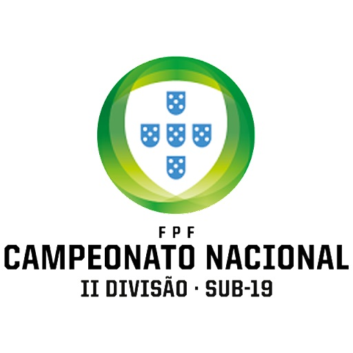 Liga Portuguesa Sub 19 II 2024  G 4