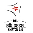Ligue amateur régionale turque