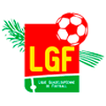 Liga Guadalupe 2013