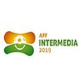 Paraguay - Division Intermedia