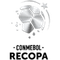 Recopa Sudamerica