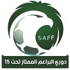 Liga Saudí Sub 15 2023