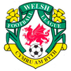Segunda Gales Football League 2009