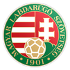 Supercopa Hungría 1994