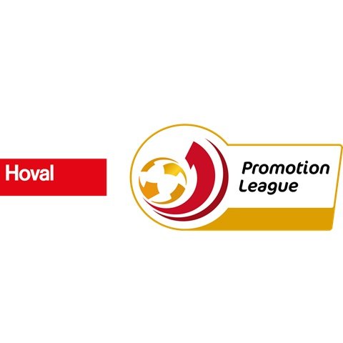 Liga de Promoção