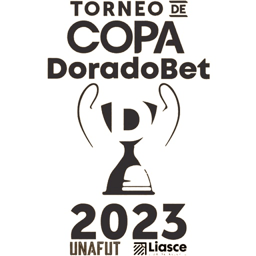 Copa Costa Rica 2024