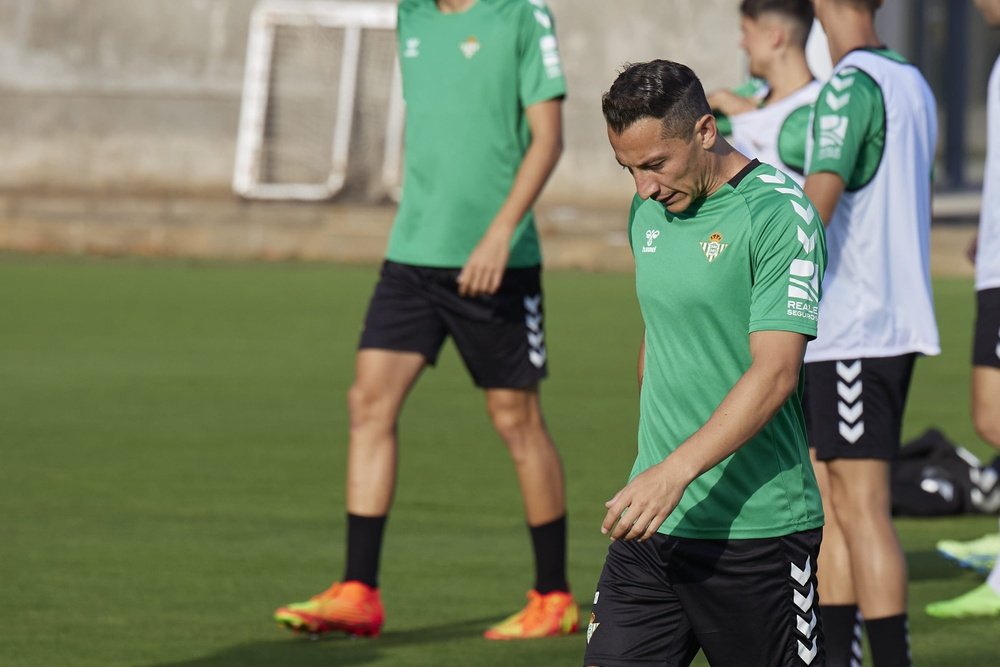 Andrés Guardado en el entrenamiento del Real Betis. (Salva Castizo)