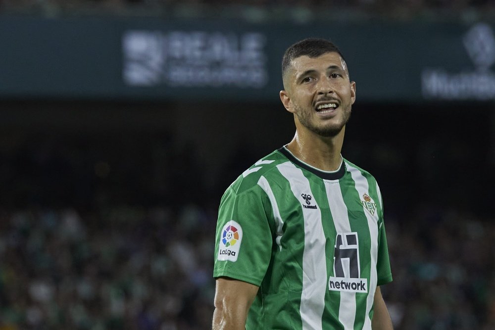Guido Rodríguez durante el enfrentamiento entre Real Betis y Osasuna. (Salva Castizo)