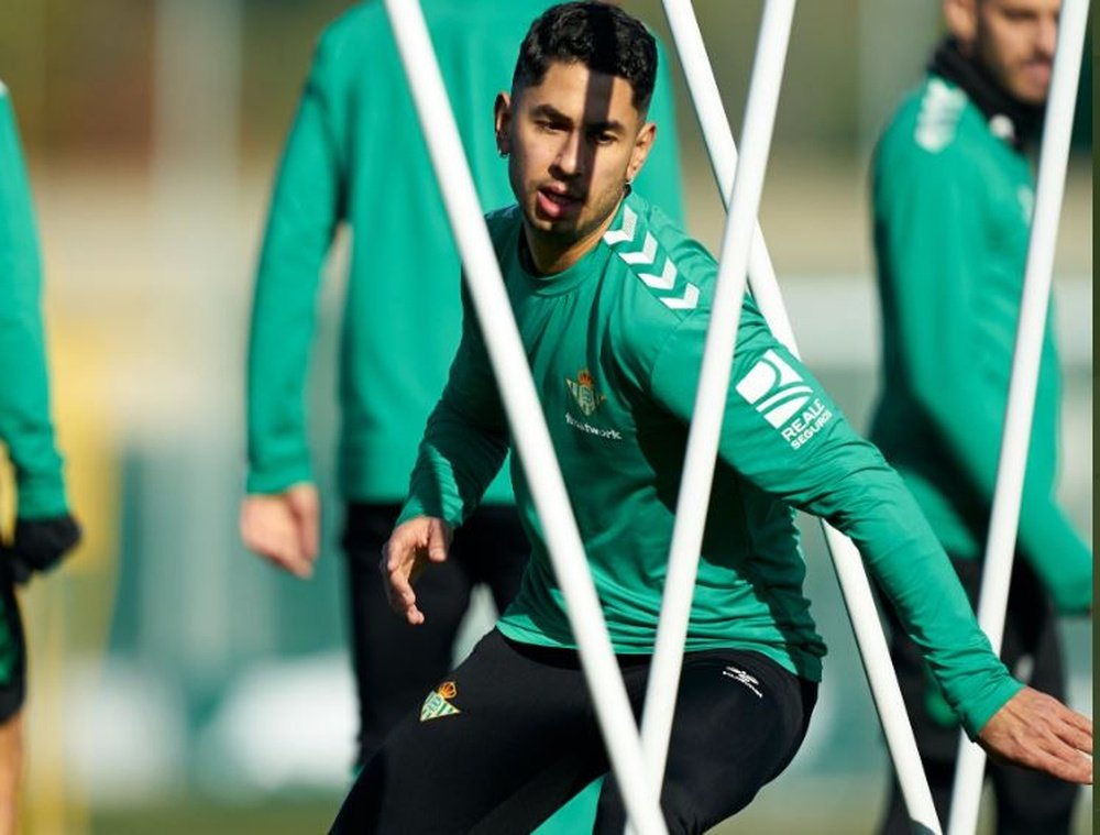 El debut de Ayoze Pérez en Primera como jugador bético es una de las grandes atracciones de la noche en el Benito Villamarín.- RBB