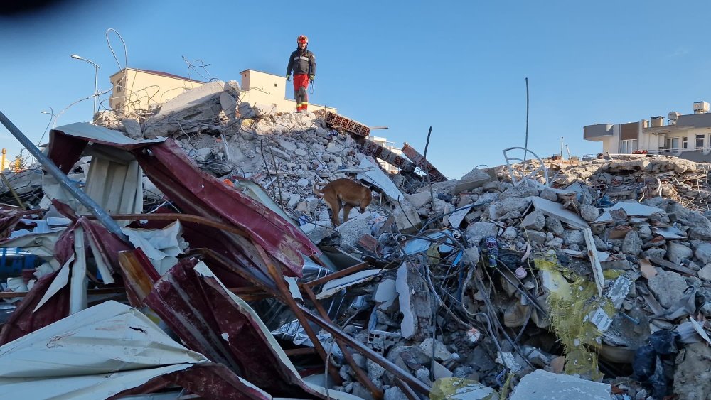 La UME colabora en la búsqueda de supervivientes en Turquía. -Imagen vía Twitter: Ministerio de Defensa, @Defensagob