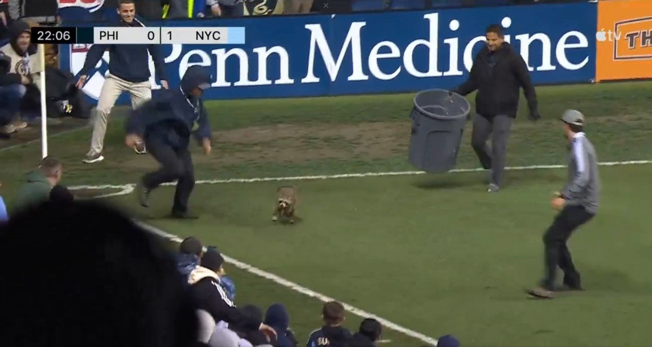 'Racooninho' the Raccoon spent 161 seconds on the field. Screenshot/AppleTV