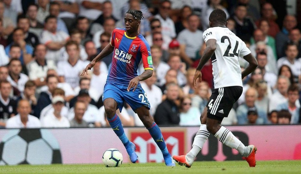 Defender Aaron Wan-Bissaka was struck by a bottle against Newcastle on Saturday. CPFC