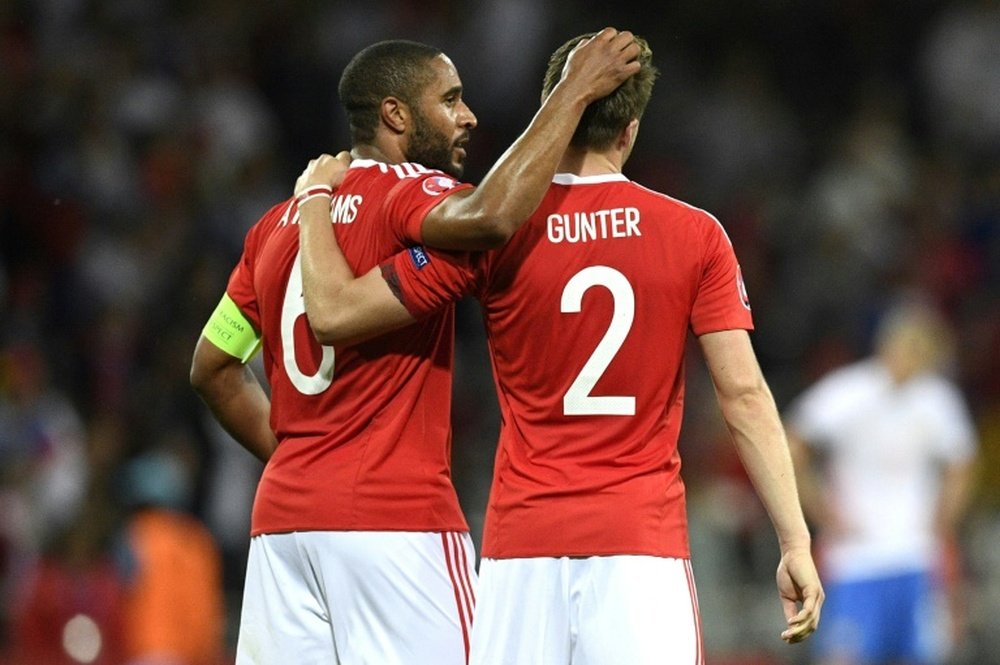 Wales defenders Ashley Williams (L) and Chris Gunter celebrate their 3-0 win over Russia. BeSoccer