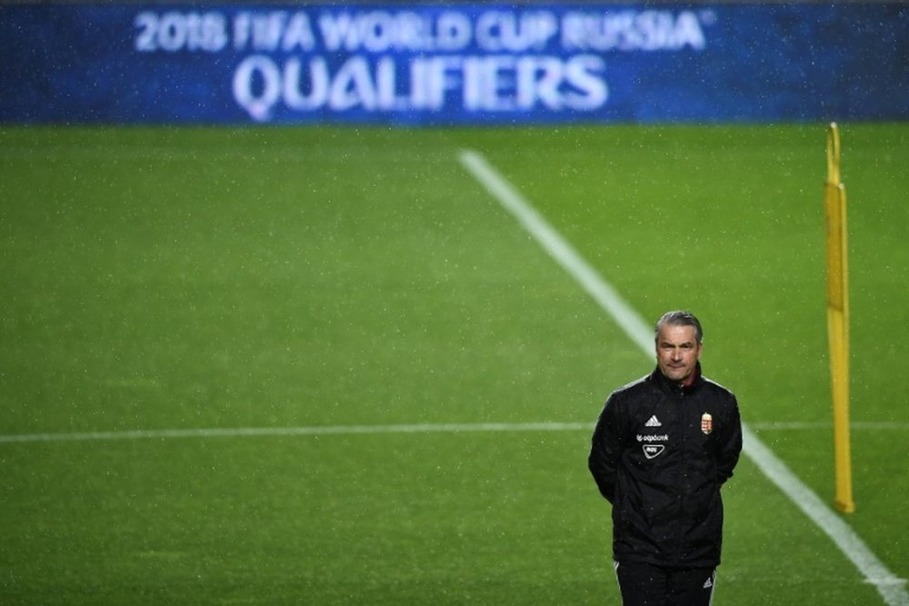 Hungary coach Storck keeps job despite Andorra loss