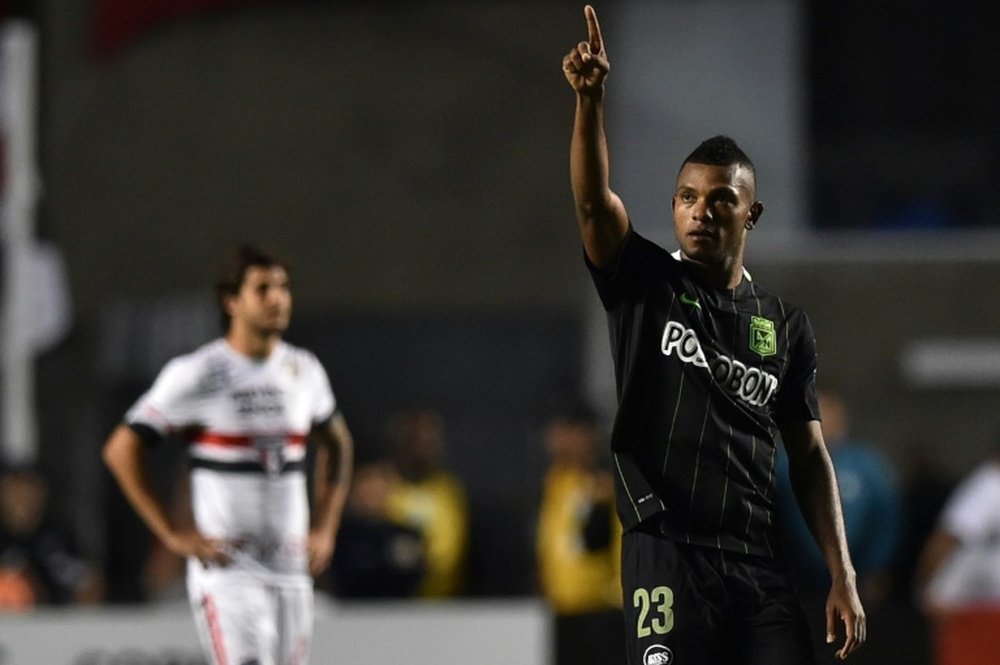 Miguel Borja of Colombias Atletico Nacional celebrates after scoring a goal against Brazils Sao Paulo, during their 2016 Copa Libertadores semi-final first leg match, at Morumbi stadium in Sao Paulo, on July 6