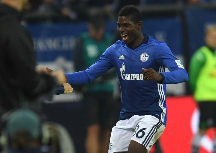 Bundesliga: Schalke com triunfo caseiro sobre o Hoffenheim