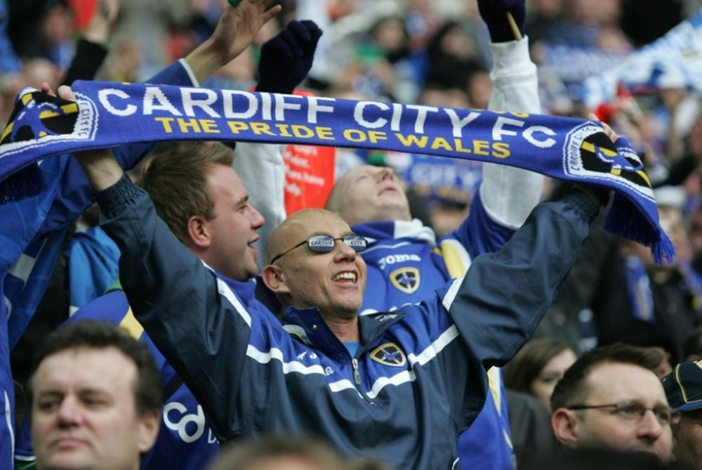 Cardiff missed out on the Championship play-offs this season after finishing eighth and Paul Trollope promised he would do the job his way as he looks to steer the Bluebirds into the Premier League