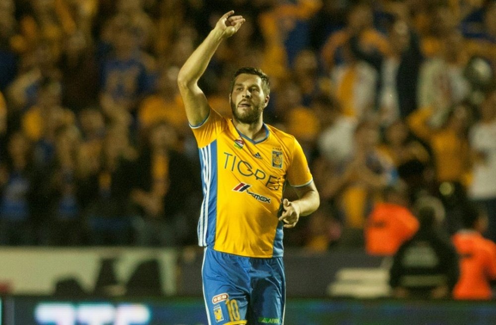 Tigres' forward Andre-Pierre Gignac saw a hypnotist so he could break a two month goal drought