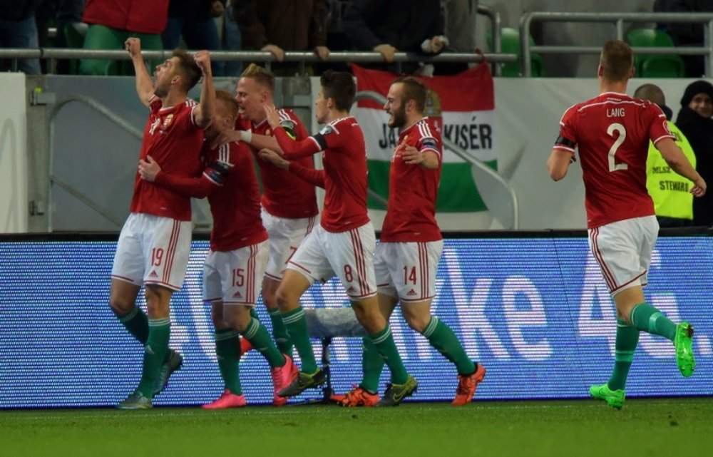 Hungary ended 30 years of hurt by qualifying for Euro 2016. Twitter