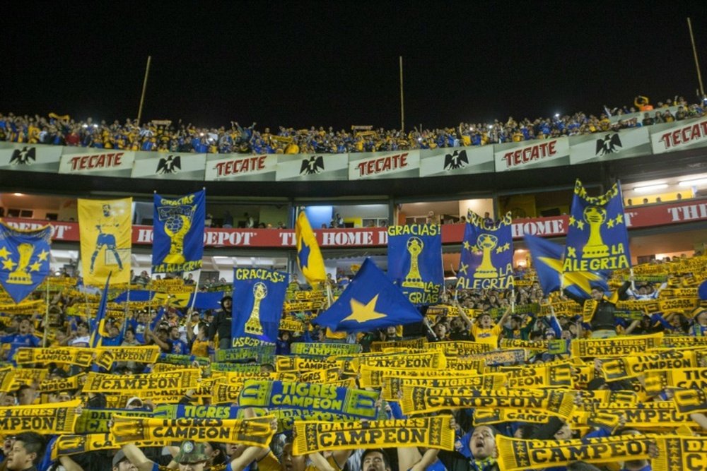 Tigres fans cheer for their team during their Mexican Clausura 2016 tournament. BeSoccer
