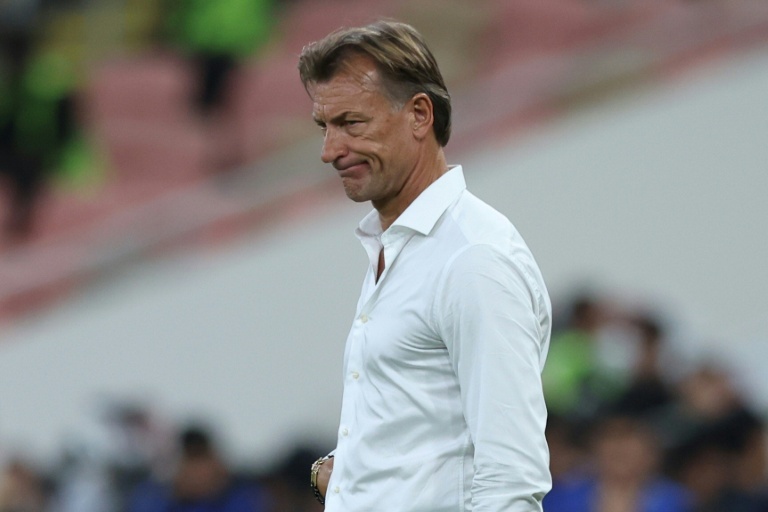 Herv&Atilde;&copy; Renard