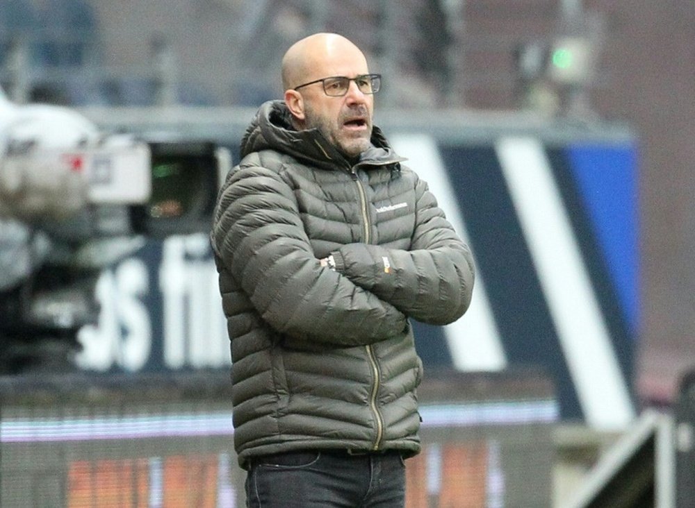 Peter Bosz insists he will not be sacked by Leverkusen. AFP