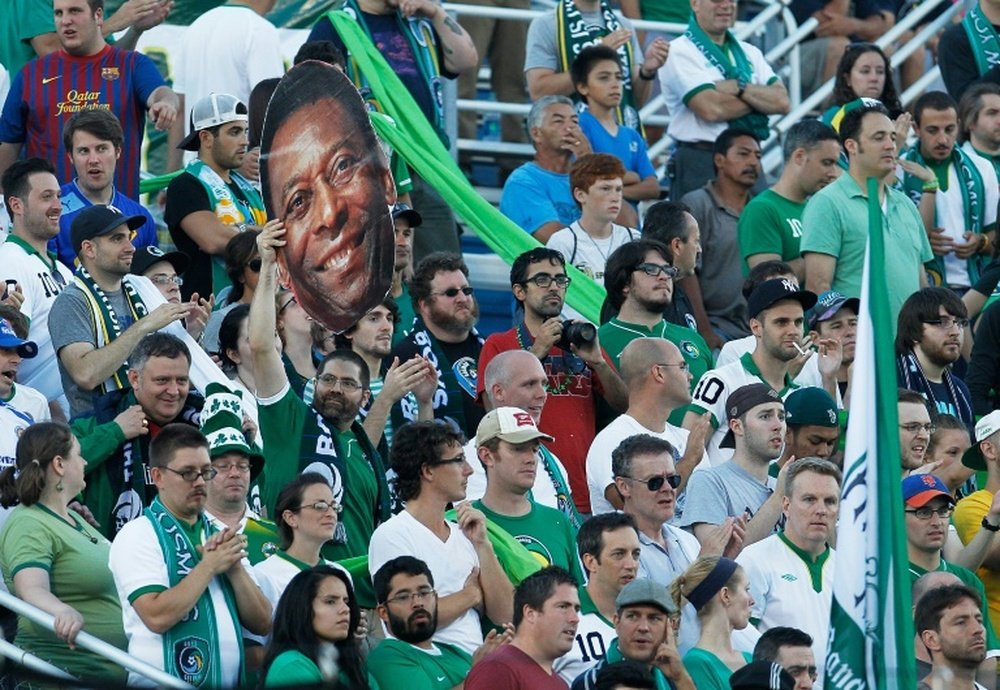 Supporters of the New York Cosmos, which will not be allowed to join the first-tier Major League Soccer, cheer on their team during the match against the Fort Lauderdale Strikers at Hofstra University on August 3, 2013