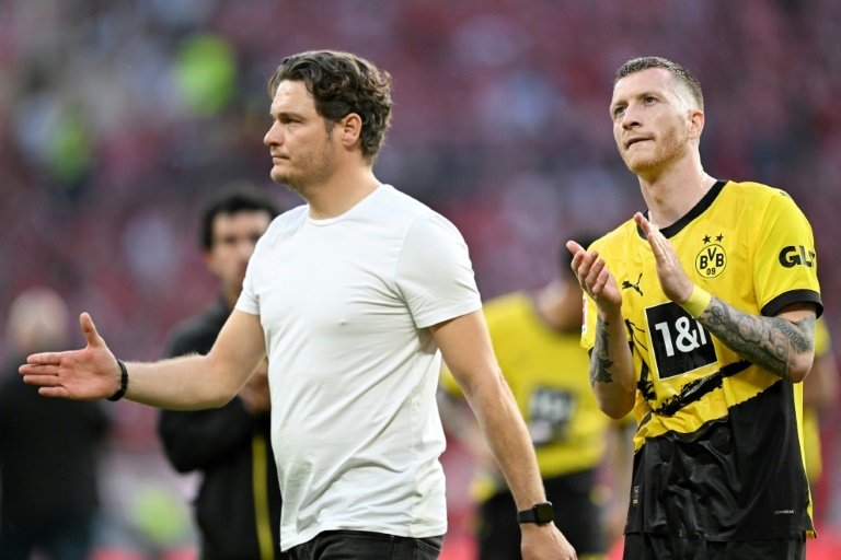 Edin Terzic has only worked for Borussia Dortmund. AFP