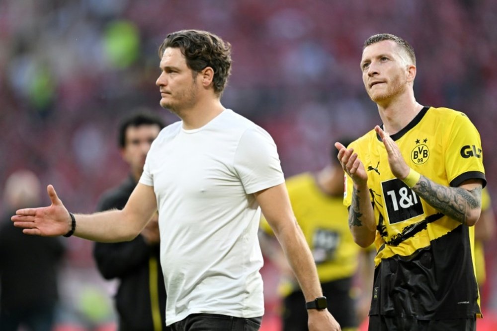 Edin Terzic has only worked for Borussia Dortmund. AFP