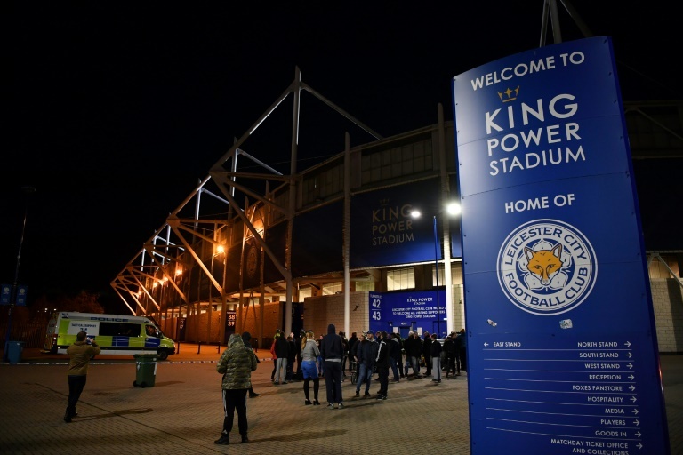 foxes fanstore
