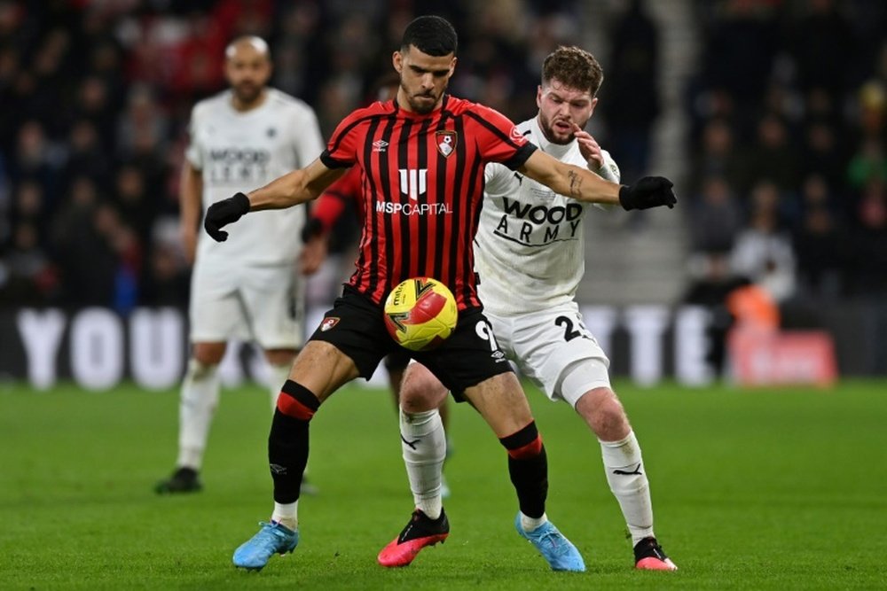 Dominic Solanke has become a target for Ange Postecoglou's Spurs. AFP