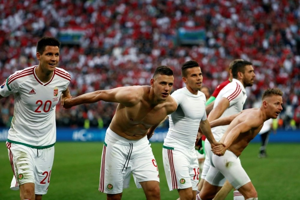 Hungarys players celebrate at the end of the Euro 2016 match against Iceland. BeSoccer