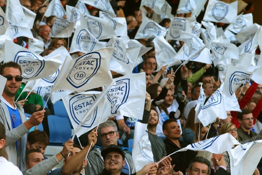 Troyes supporters wave flags prior to the French Football match between Troyes and Chateauroux, on May 22, 2015 at the Aube Stadium in Troyes, central France