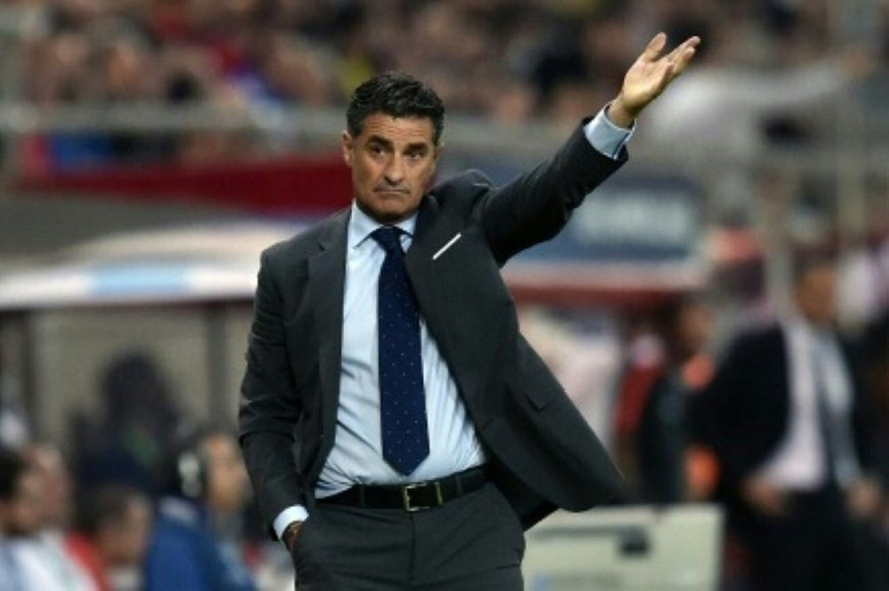 Then Olympiakos head coach Michel, whose full name is Jose Miguel Gonzalez Martin del Campo, pictured during his sides Champions League match against Juventus in Athens on October 22, 2014