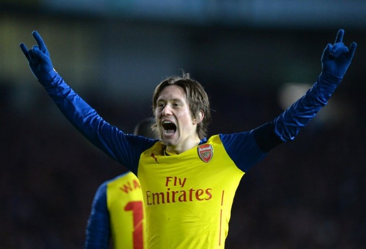Rosicky injury could end Arsenal career