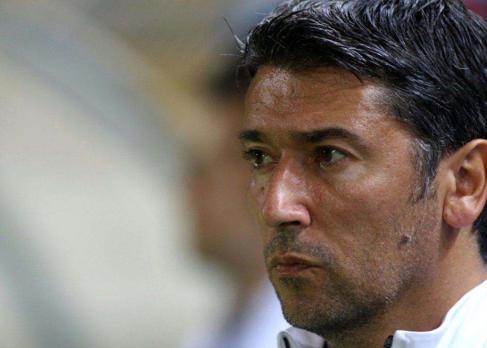 Greeces Kostas Tsanas, pictured on November 18, 2014, is named as interim coach of the full national team to replace Uruguayan Sergio Markarian